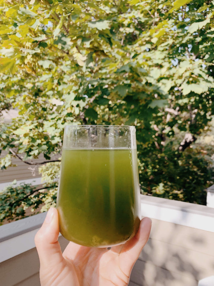 Sun Potion Chlorella Powder (Organic, Sound Processed)